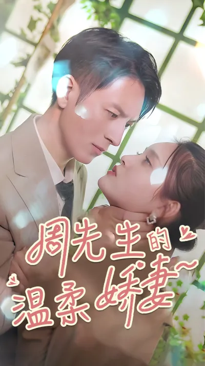 周先生的温柔娇妻 